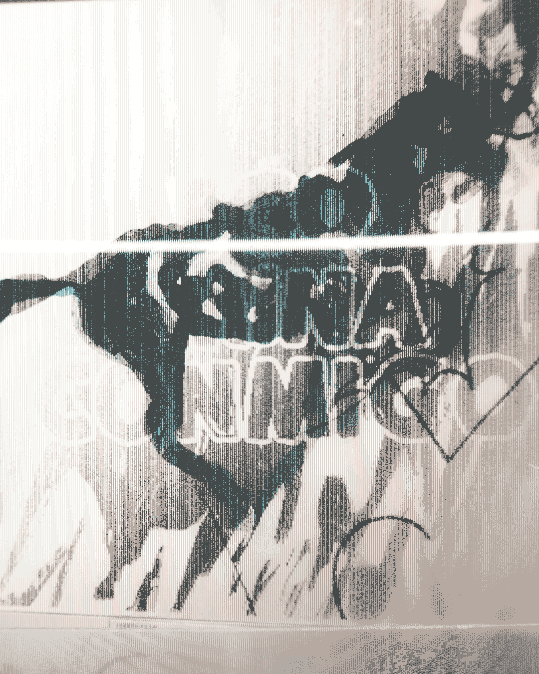 FUEGO CAMINA CONMIGO