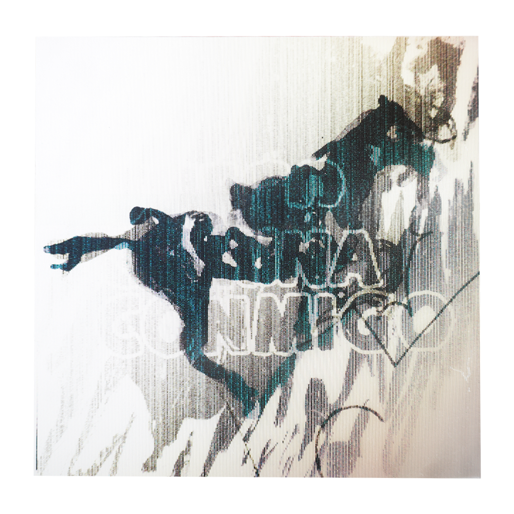 FUEGO CAMINA CONMIGO