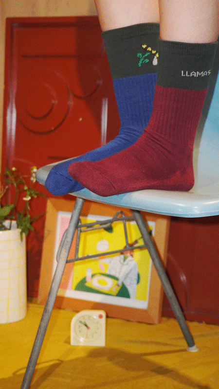 CALCETAS SENSACIONALES